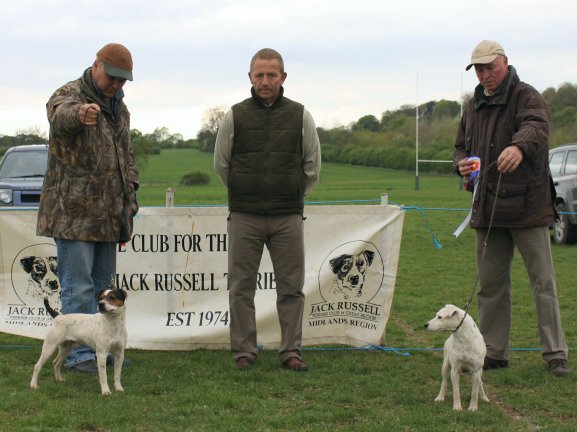 Best Over Jack Russell (Left) and Reserve | 
