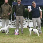 Champion Puppy M Hulme Rushill Pearl (right) judge Lewis Strawbridge Reserve B Turpie Sherdell Nelson II