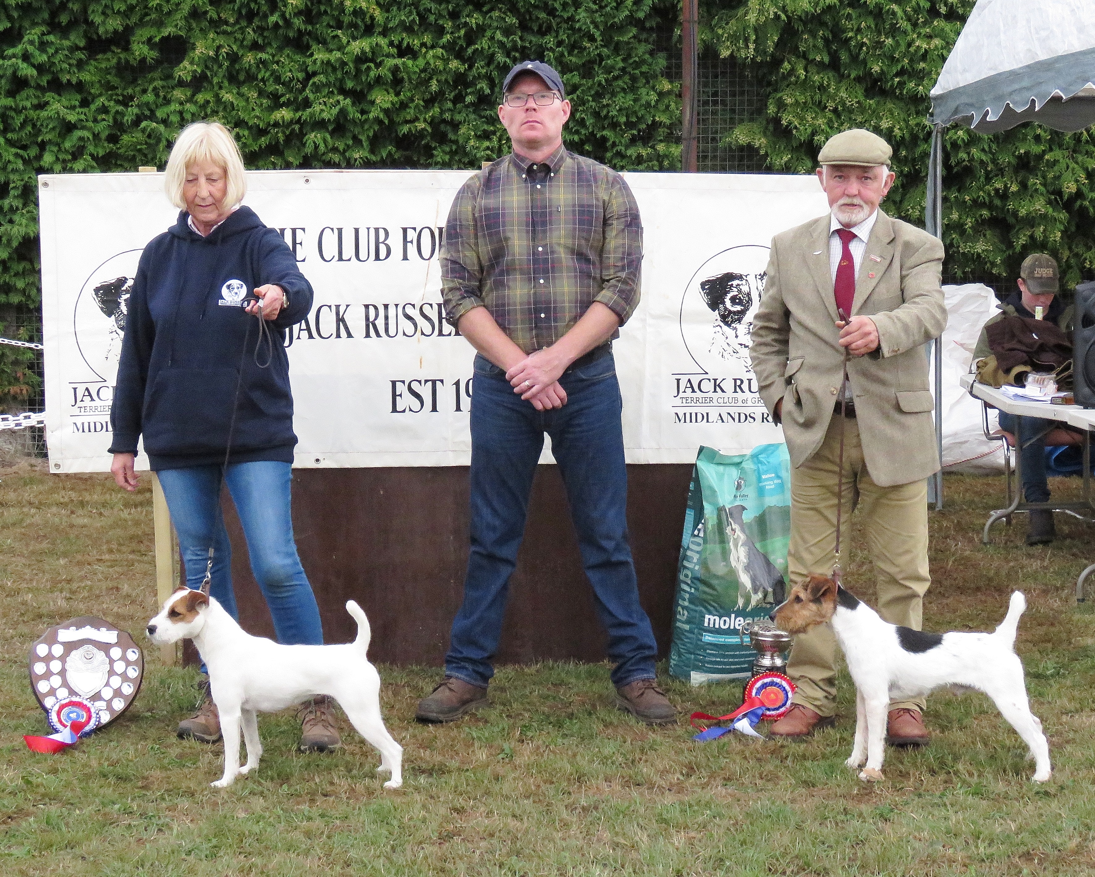 Class 19: Best Over 12.5"-15" Jack Russell Terrier: Greg Mousley with Champion Meynell-Sundance Dillon and Jane Massarella with Reserve Cadella Elsa.