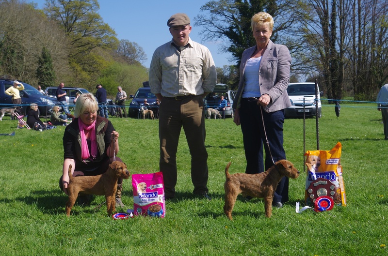 Champion & Reserve Coloured Terrier