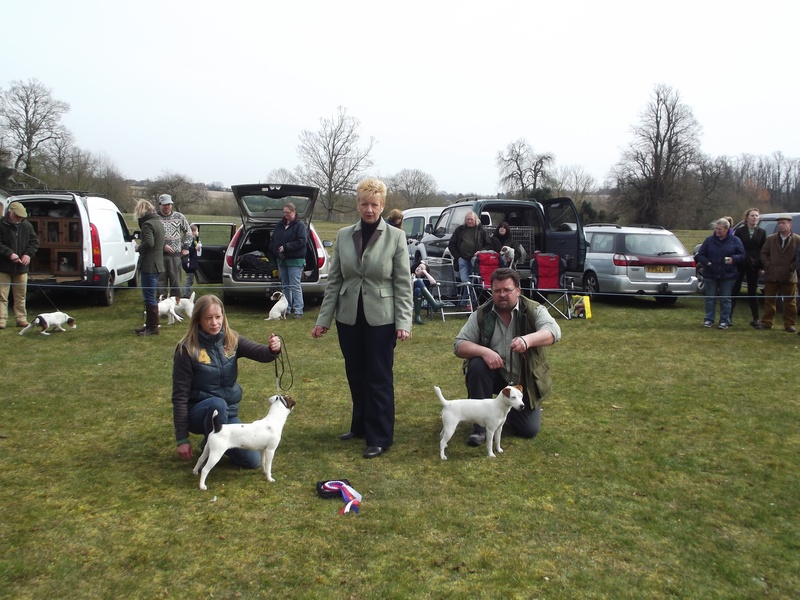 Champion Puppy and Reserve - Champion - M&B. Smith - Spike Reserve - L&N Hooper - Nicklyn Tangle