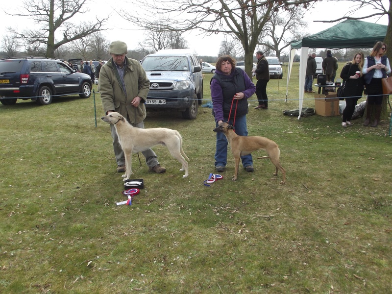 Best in Show | Champion - J. Harris - Syrus Reserve - S. Marks - Cody