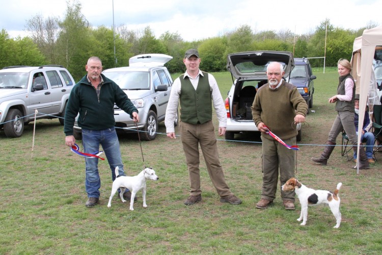 Midlands Region Spring Show 2015 - JRTCGB