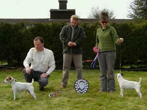 Best Jack Russell (left) and Reserve | Paul Coffey's Marlbrook Ruff & Reserve (right) Steph Allen's Allens Buckle