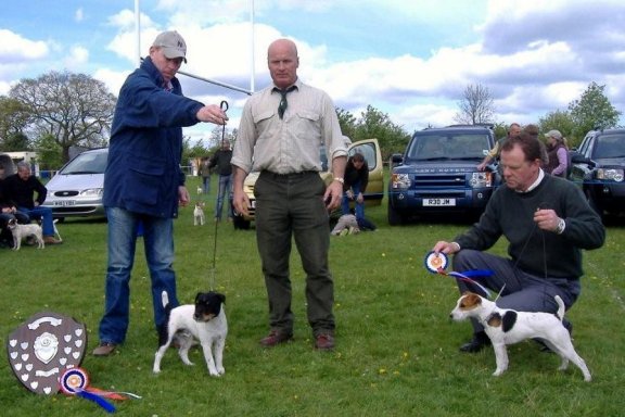 Best Russell Puppy (left) and Reserve | Best Russell Puppy S. Dalton Alfie (left) and Reserve Paul Coffey Spence
