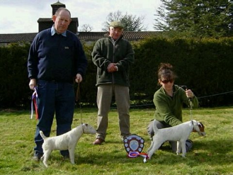 Best Jack Russell Puppy (right) and Reserve | Steph Allen's Allen's Toad & Reserve (left) Neil Everley's Cologne Milly