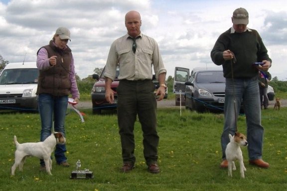 Best Jack Russell (left) and Reserve | Becky Smith Radbourne Spin (left) and Reserve Steve Parkin Foxgrove Ruby