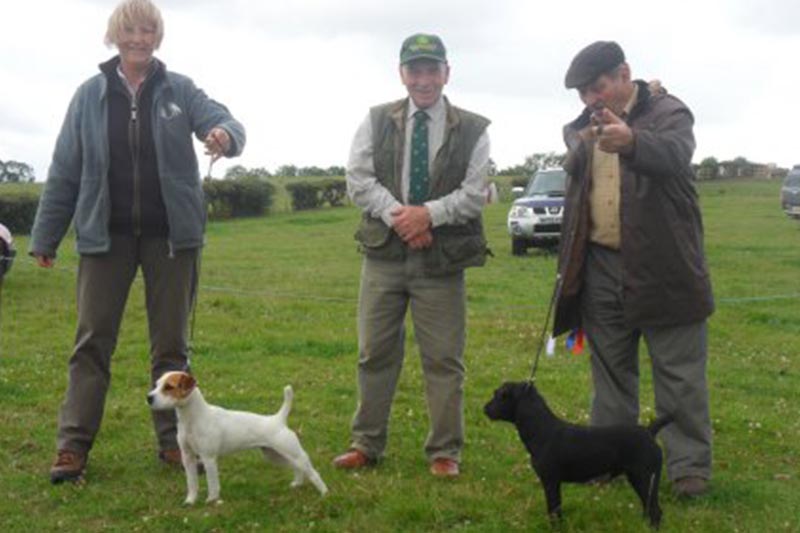 Northern Region Summer Show 2011 | Best Russell Puppy (right) & Reserve | Best Terrier & Reserve