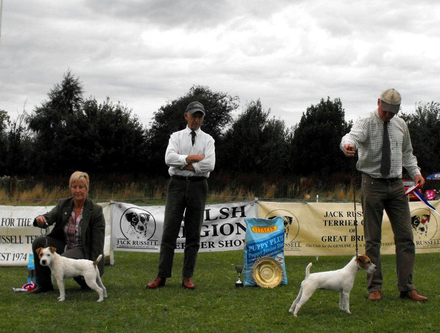 Class 27. Best Puppy | Steve Parkin - Foxgrove Ruby (right) & Reserve Jane Massarella - Cadella Bracken (left)