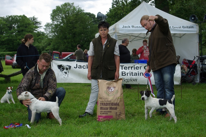 Champion & Res Jack Russell