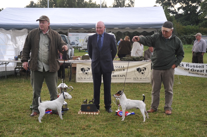 Class 26 Best Jack Russell Terrier in Show | Best Cuchulann Wango - D. Mackin (left) & Reserve Rushill Dodge - M&E Hulme