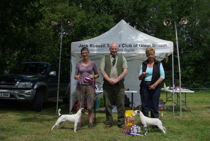 Southern Region Summer Show 2011 | Russell Puppy Res & Ch(on right)