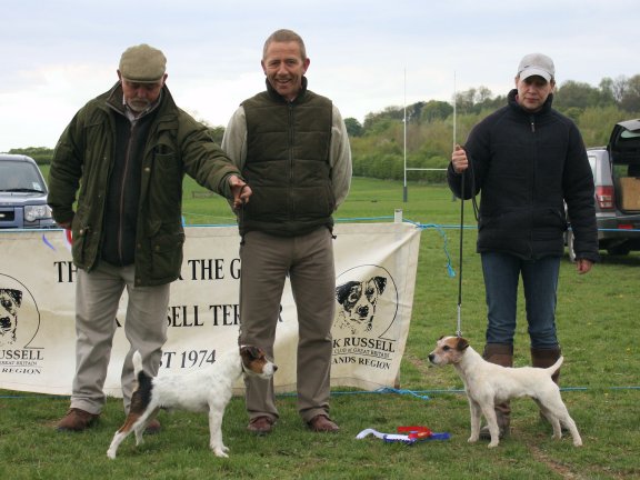 Best Under Jack Russell (Left) and Reserve |