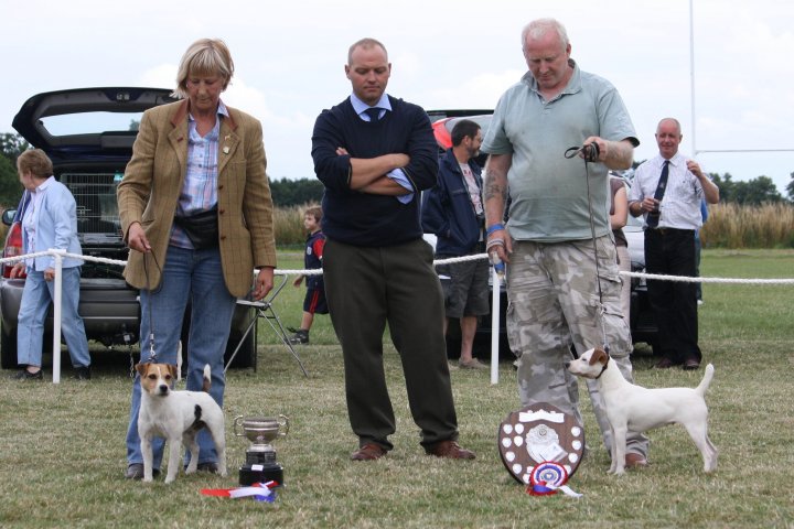 Class 25 Best Over | Best over (left) J. Masserella - Cadella Olive and Reserve D. Mackin - Bicester Tac of Rushill