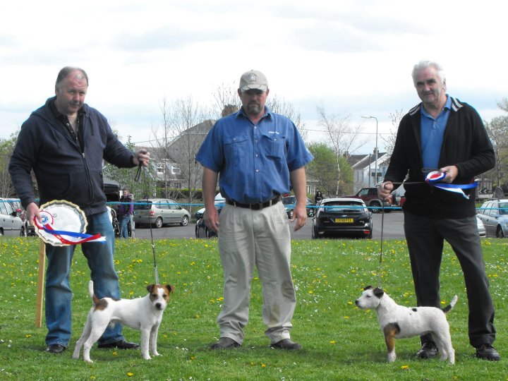 Best Over Jack Russell (left) and Reserve |