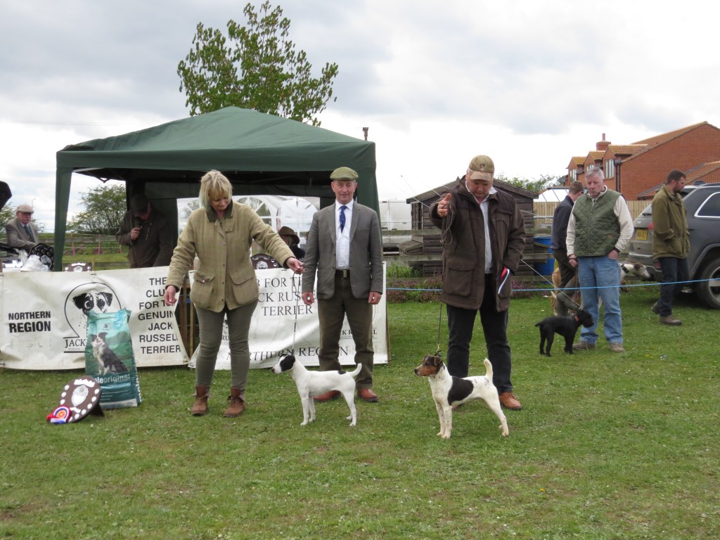 Champion Puppy Tracy Peacock's Dot judge Ian Jolly and reserve Martyn Hulme with Cranky