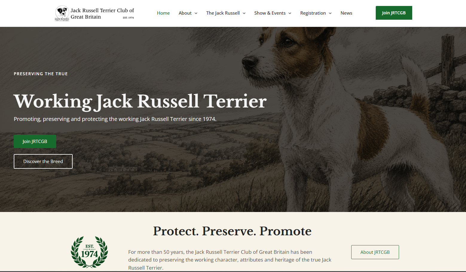 Welcome to the New JRTCGB Website